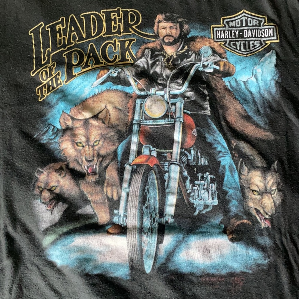 Vintage Harley Davidson shirt